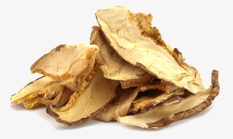 Hen-of-the-wood, HD Png Download, Free Download