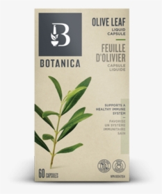 Olive Leaf - Botanica Olive Leaf Complex, HD Png Download, Free Download