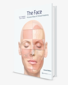 The Face - Thread Lifting Clinical Usage, HD Png Download, Free Download