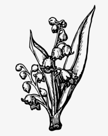 Transparent Flower Bud Png - Alfred Tennyson, 1st Baron Tennyson, Png Download, Free Download