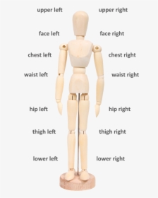 Body Directions - Wooden Mannequin, HD Png Download, Free Download