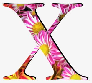 Flower Pattern Letters X, HD Png Download, Free Download