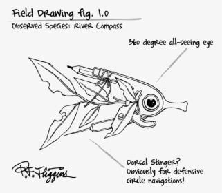 Sketch, HD Png Download, Free Download