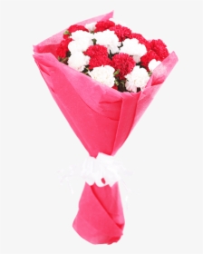 Red N White Carnations - Bouquet, HD Png Download, Free Download