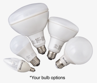 Incandescent Light Bulb, HD Png Download, Free Download
