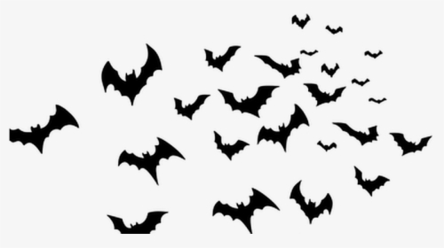 Transparent Background Bats Png, Png Download, Free Download