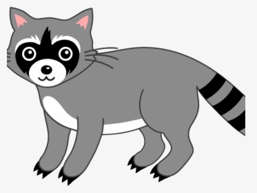 Transparent Background Raccoon Clipart Transparent, HD Png Download, Free Download