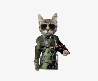 Tom Cat T Shirt, HD Png Download, Free Download