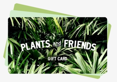 Gift-card Front, HD Png Download, Free Download