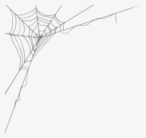 Spider Web Corner Png Clip Art Image - Transparent Background Spider Web Png, Png Download, Free Download