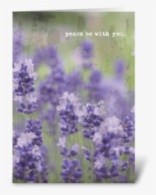 Peace Be With You - Bluebonnet, HD Png Download, Free Download