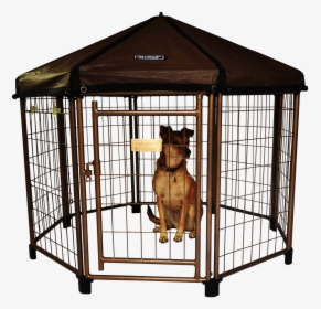 Kennel, HD Png Download, Free Download