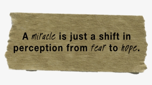 Miracle - Lumber, HD Png Download, Free Download