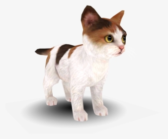 Rex Cat, HD Png Download, Free Download