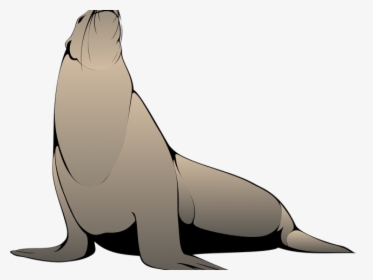 Seal Lion Clipart Transparent, HD Png Download, Free Download