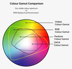 Color Spectrum Png, Transparent Png, Free Download