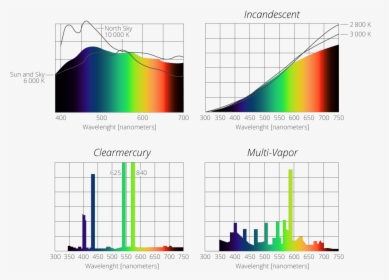 Emission Spectra Of Natural Light From The Sun And - Emission Spectrum Of Mercury Vapor Lamp, HD Png Download, Free Download