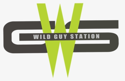 Wgs New Logo Final Smaller 2 - Logo, HD Png Download, Free Download