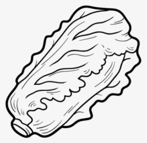 Lettuce Clipart Black And White, HD Png Download, Free Download