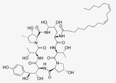 Echinocandin B, HD Png Download, Free Download