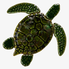 Gt7-5 5in - Sea Turtle Baby, HD Png Download, Free Download