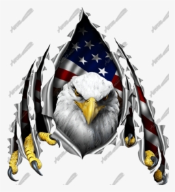 These Colors Don T Run Eagle, HD Png Download, Free Download