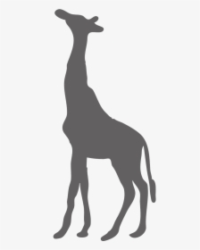 Transparent Giraffe Clipart Png - Animal Giraffe Silhouette Png, Png Download, Free Download