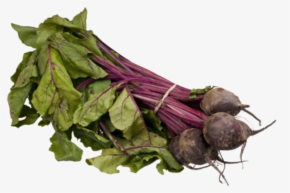 Beet Png - Sprouting Beets, Transparent Png, Free Download