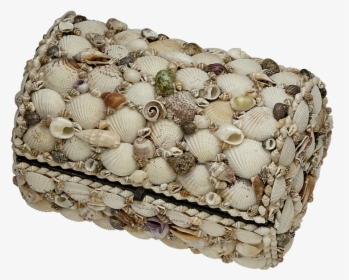 Natural Seashell Treasure Box - Seashell Large Treasure Box, HD Png Download, Free Download