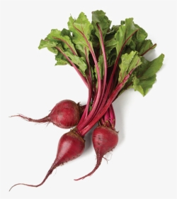 Beet Png Image Transparent Background - Beets Bunch, Png Download, Free Download