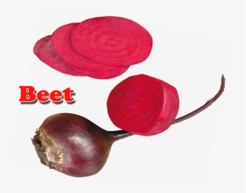 Beet Png Clipart - Vegetable, Transparent Png, Free Download