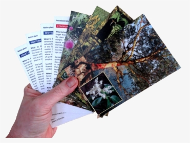 Nature Cards - Envelope, HD Png Download, Free Download