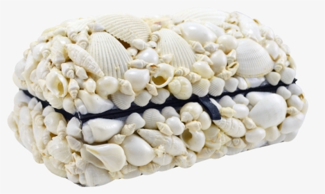 Treasure Box-white Ss - Treasure And Shells, HD Png Download, Free Download