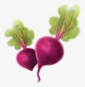 Beet Greens Clipart , Png Download - Beets Clipart, Transparent Png, Free Download