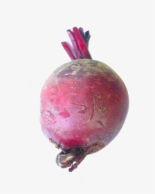 Beet Png - Sugarbeets Png, Transparent Png, Free Download