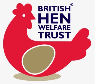 Giving Battery Hens A Fresh Start In Life, With Help - British Hen Welfare Trust, HD Png Download, Free Download
