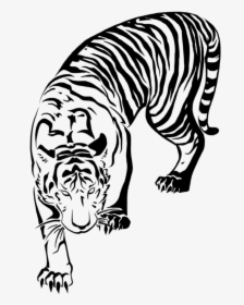 498 X 735 - Tiger Drawing No Background, HD Png Download, Free Download