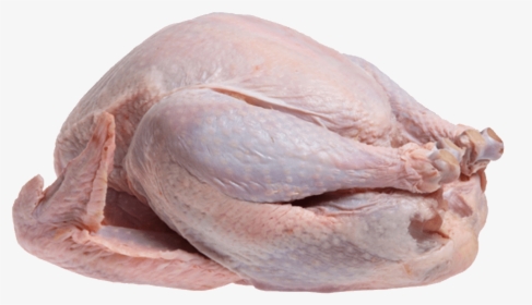 Uncooked Turkey Transparent Image Food Images - Uncooked Turkey, HD Png Download, Free Download