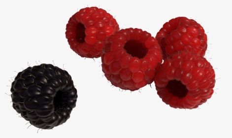 Red And Black Raspberry Png Image - Black Raspberry Png, Transparent Png, Free Download