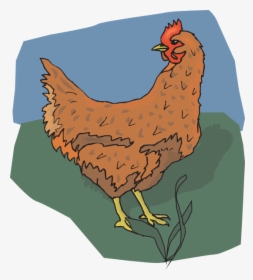Brown Chicken Looking Back Svg Clip Arts - Rooster, HD Png Download, Free Download