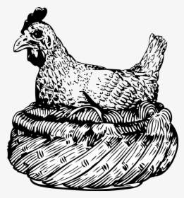 Old Hen In A Basket Png Clip Arts - Hen In A Basket, Transparent Png, Free Download