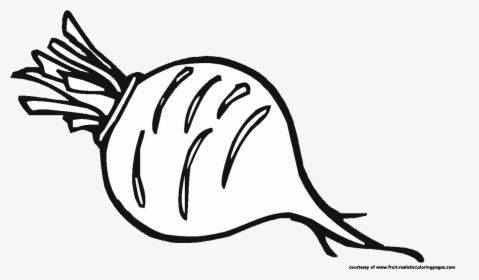 Png Download Beet Drawing Black And White - Beetroot Clipart Black And White, Transparent Png, Free Download