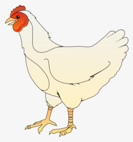 Chicken Svg Clip Arts - Chicken Clipart, HD Png Download, Free Download