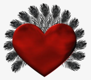 Free Png Red Heart With Black Feathers Png - Flower Monogram Frames, Transparent Png, Free Download