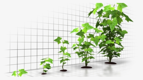 Sme Funding - Growth Companies, HD Png Download, Free Download