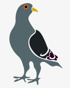 Clip Art A Self - Pigeon Clipart, HD Png Download, Free Download