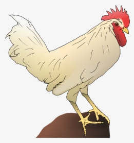 Chicken Leg Clip Art Download - كليب ارت ريش دجاج, HD Png Download, Free Download