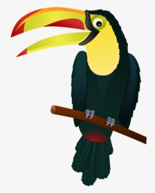 Art,coraciiformes - Toucan Clipart Transparent Background, HD Png Download, Free Download