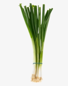 Green Onions, HD Png Download, Free Download