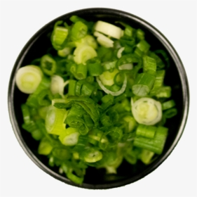 Transparent Green Onion Png - Welsh Onion, Png Download, Free Download
